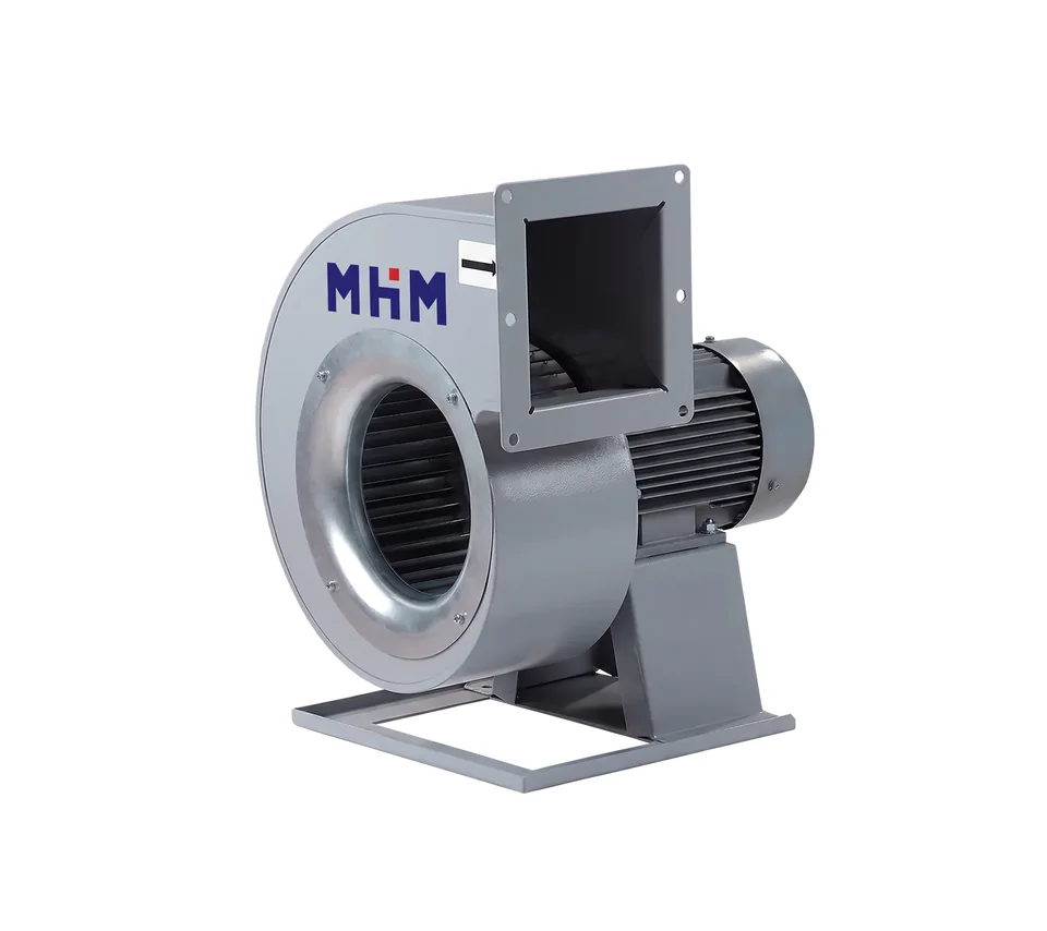 MHM End-Suction Centrifugal Pump